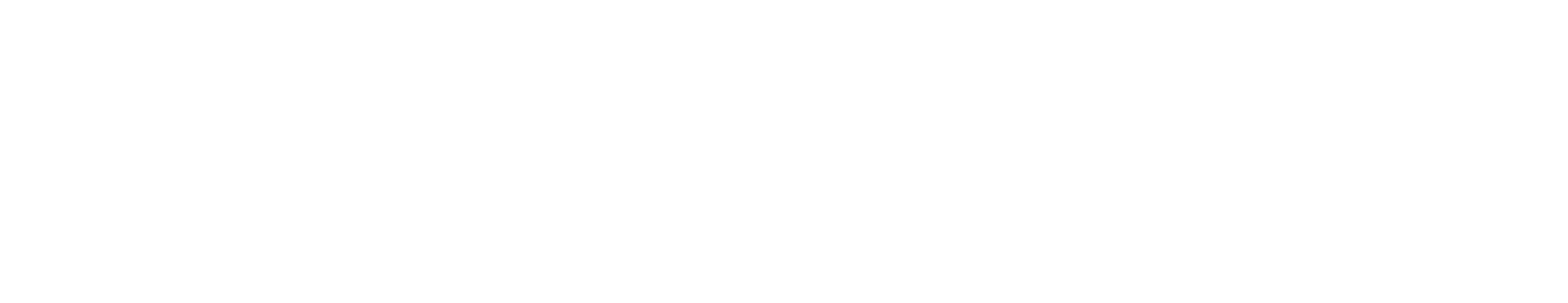 Bisademo
